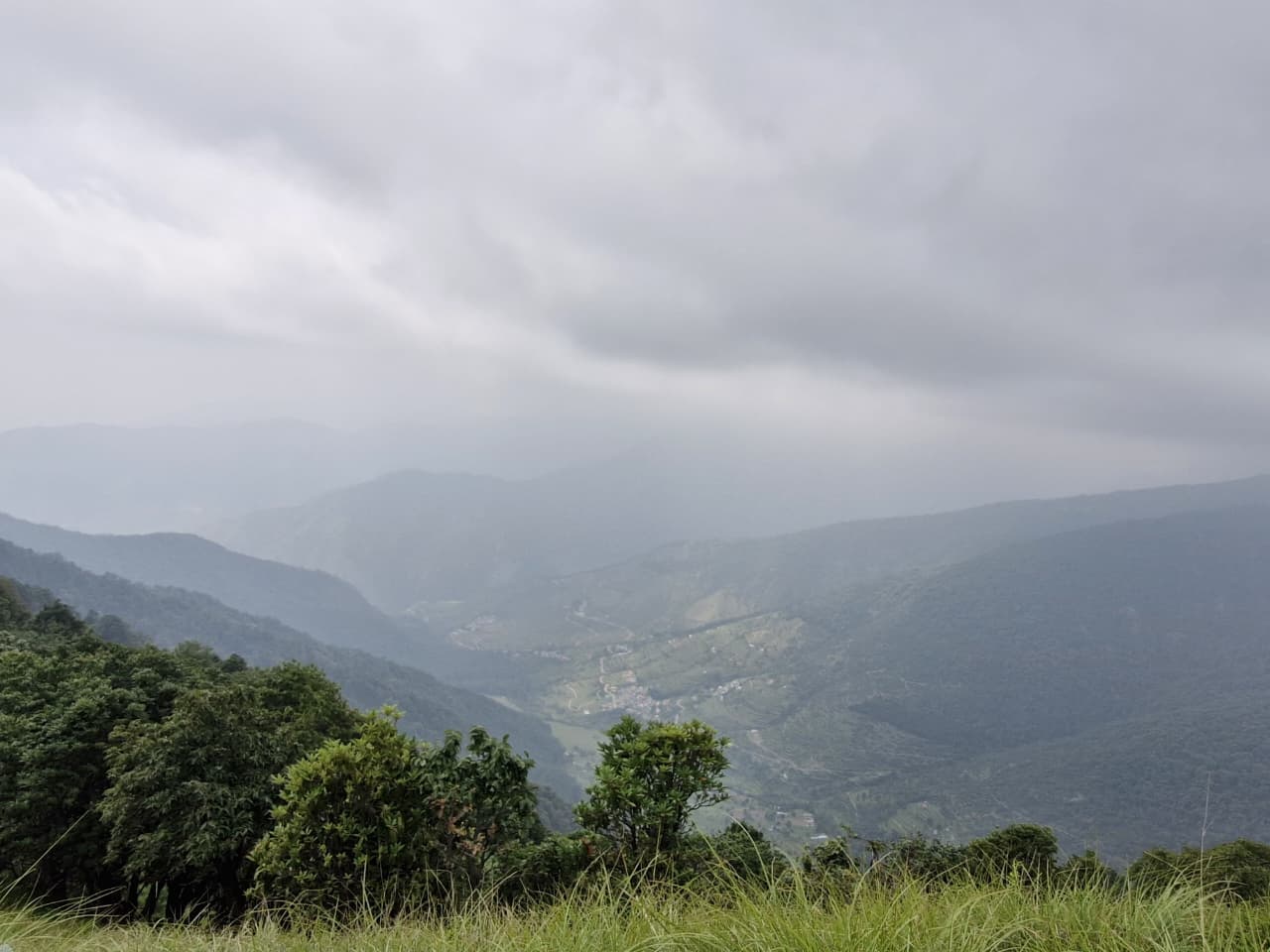 trek view