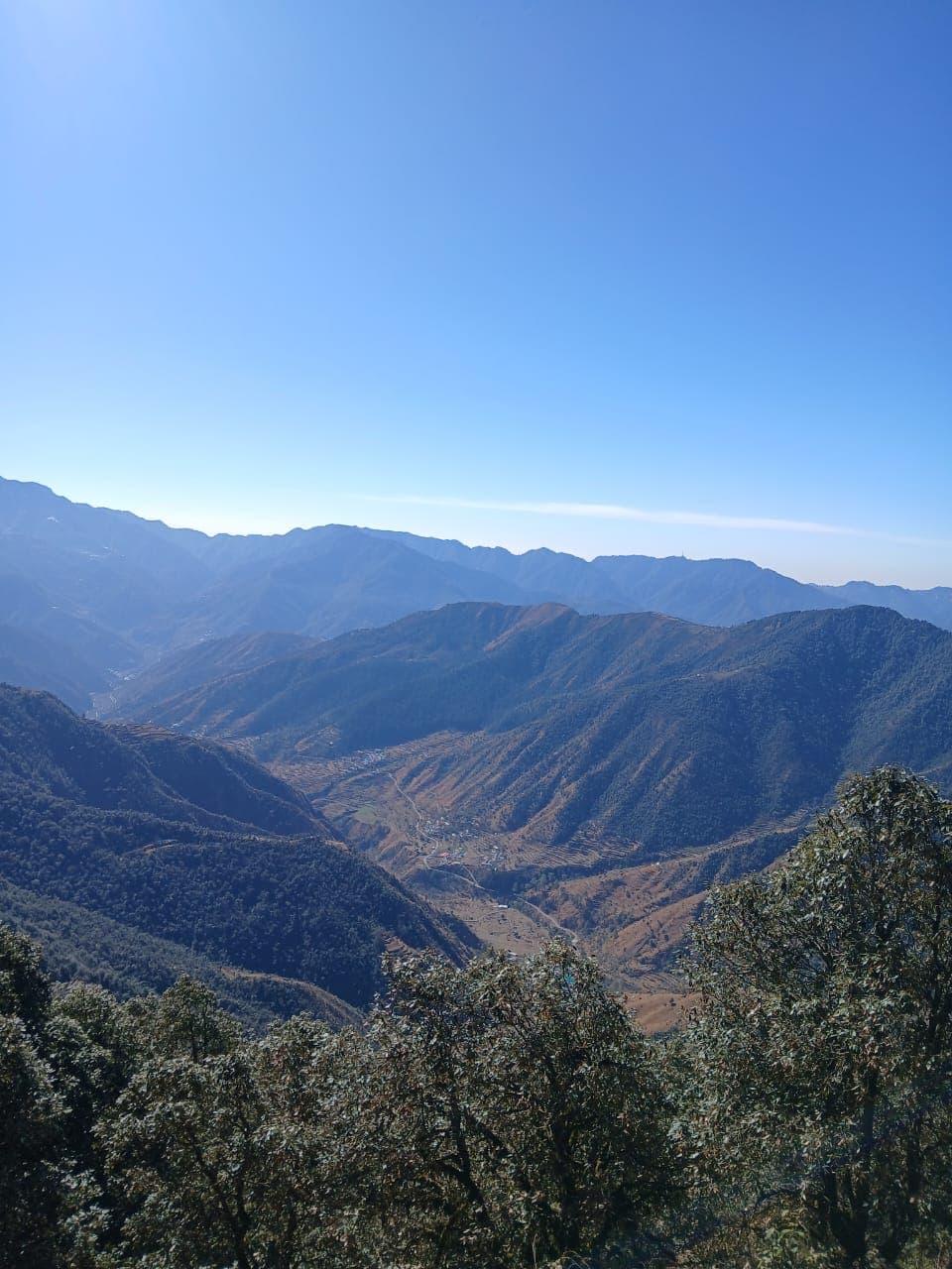 trek view